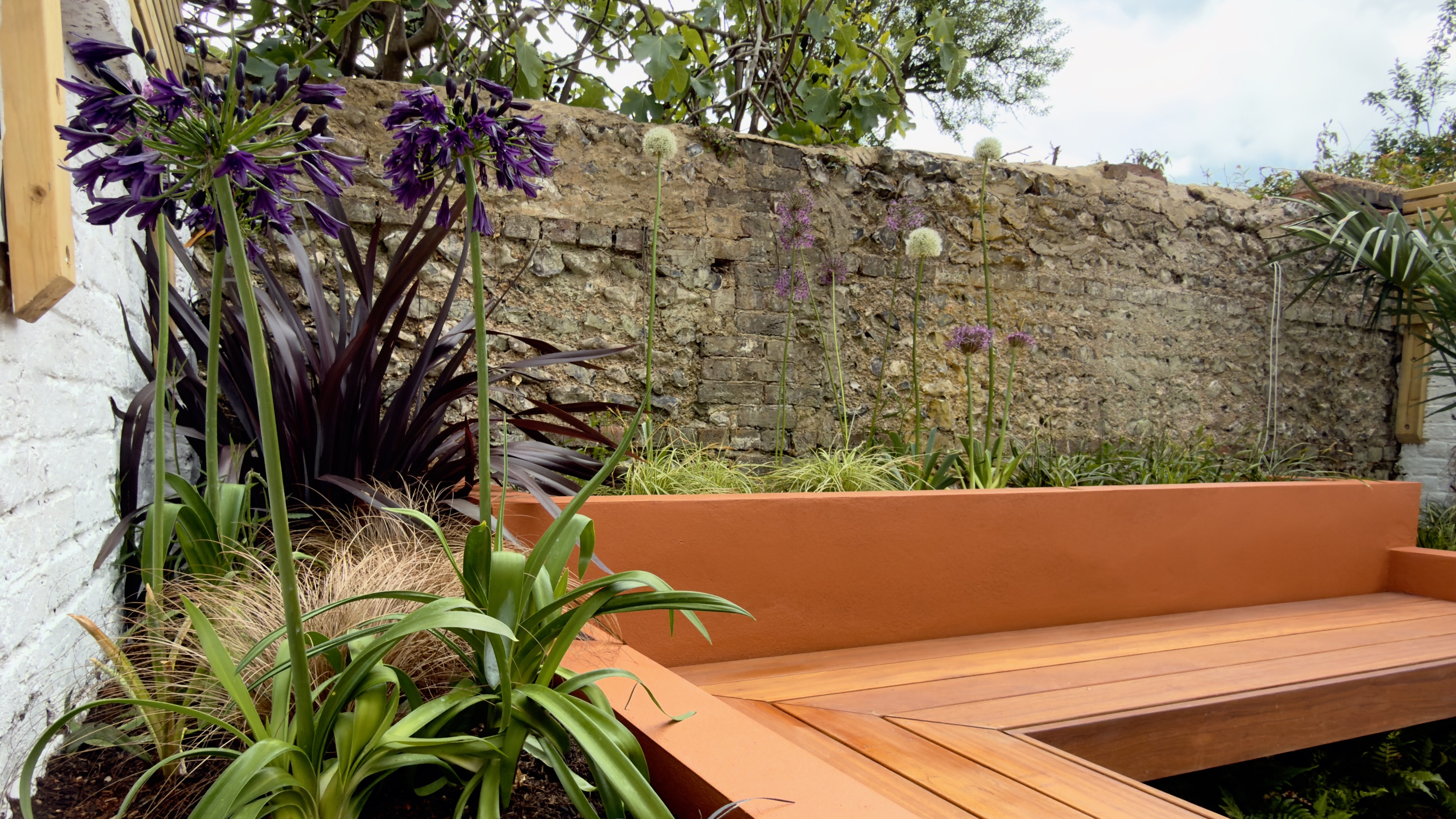 Agapanthus, ornamental grasses and drought-tolerant planting against a warm rendered wall and flint boundary in a Brighton garden by Brunswick Landscapes