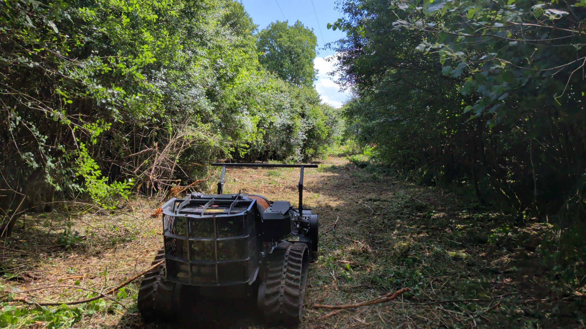 Site Clearance