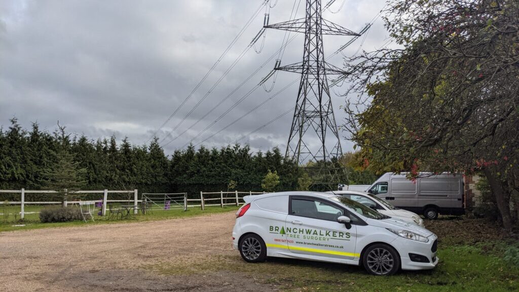 Utility Surveying & Vegetation Management