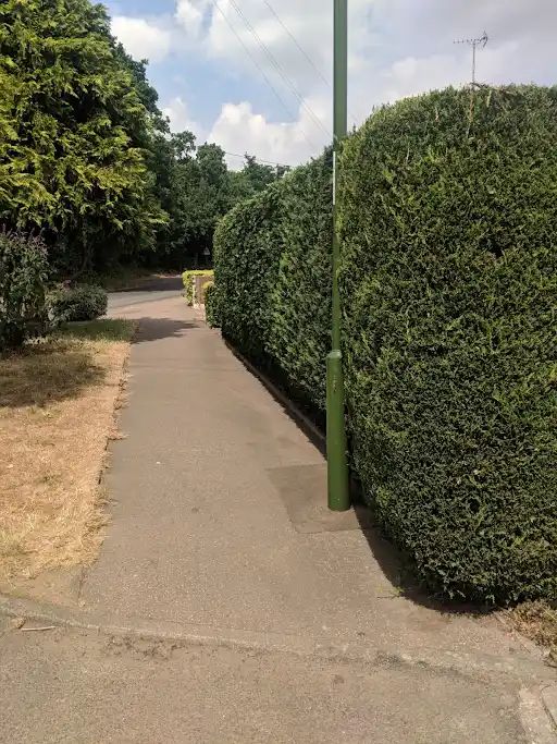 Hedge Cutting & Trimming