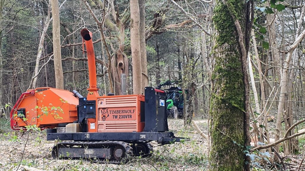 Site Clearance